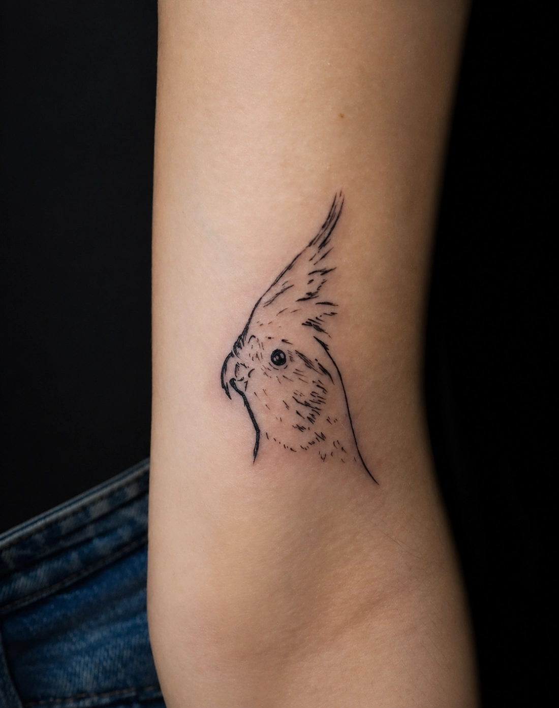 Tatuaje minimalista de pájaro en estilo lineal en el brazo